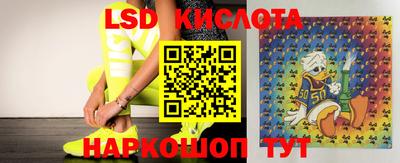 прущий лед Кингисепп