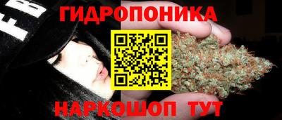 прущий лед Кингисепп