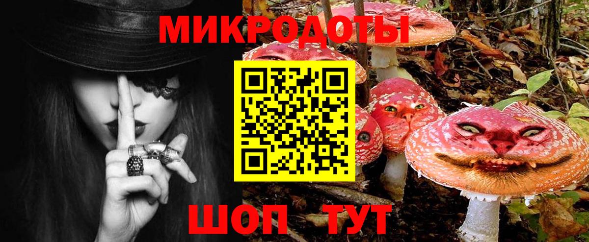 Киселёвск  Галлюциногенные грибы Cubensis  Псилоцибиновые грибы Psilocybe  Вход с VPN 